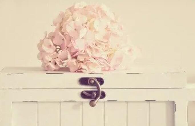 美美心情正能量句子文案