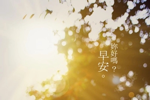 发朋友圈春天早安励志的句子文案