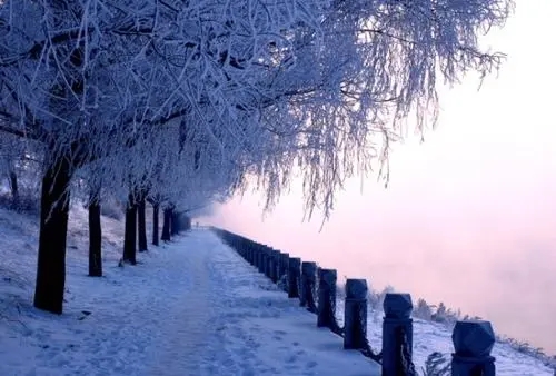 称赞雪景美的句子文案