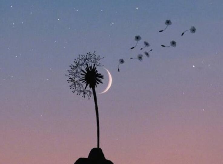 心入佛门的说说文案