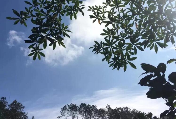 回家在路上的心情句子文案