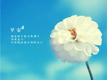 夏天早安问候语简短一句话