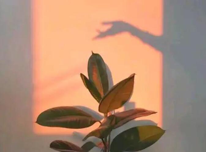 关于治愈的文案