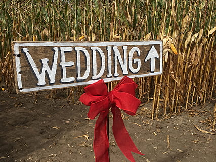 生气到无话可说的句子文案