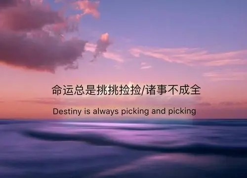 感觉没人心疼的句子文案