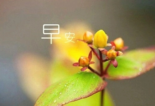 早安短句说说文案大全