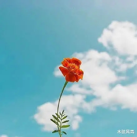 气质女人的早安心语