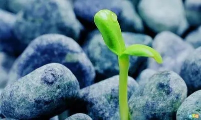 战胜困难的名言名句文案