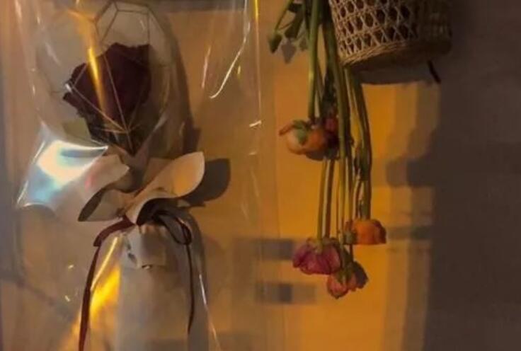 适合所有情绪的句子文案