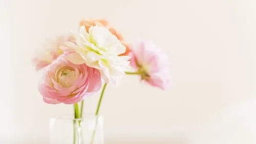 描写早晨的优美句子文案