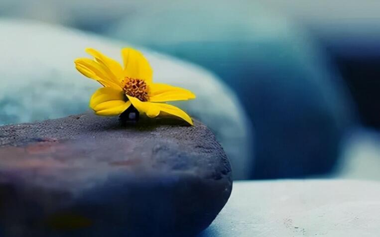 今年身体特别差的说说文案