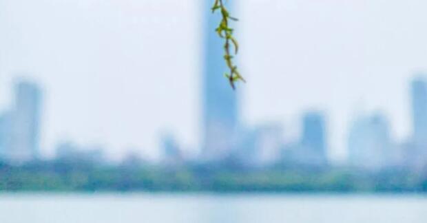 好句文案带出处