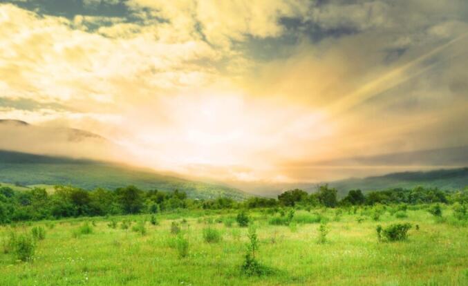 搜索早上好问候语