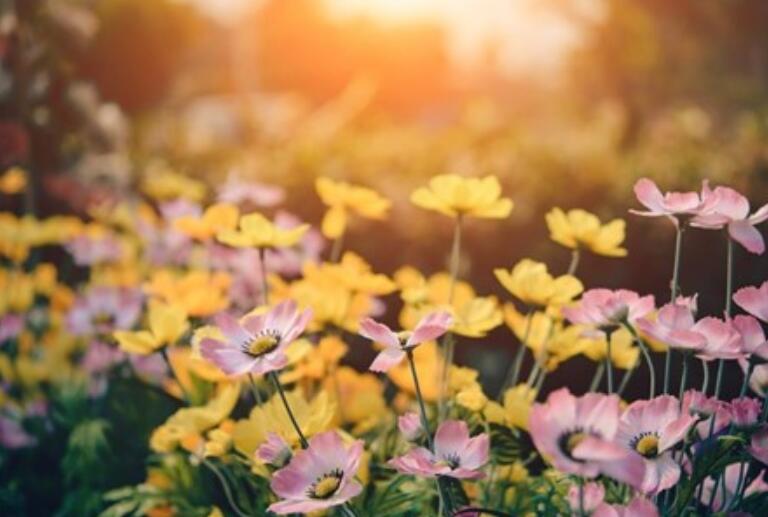 保重身体珍惜健康句子文案