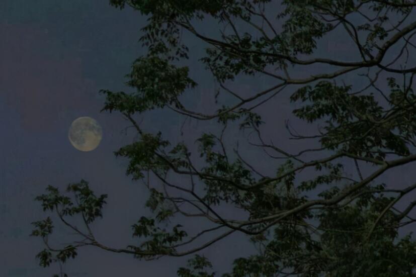 讽刺的话语有哪些