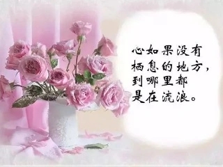 诗句文案心情短语人生感悟