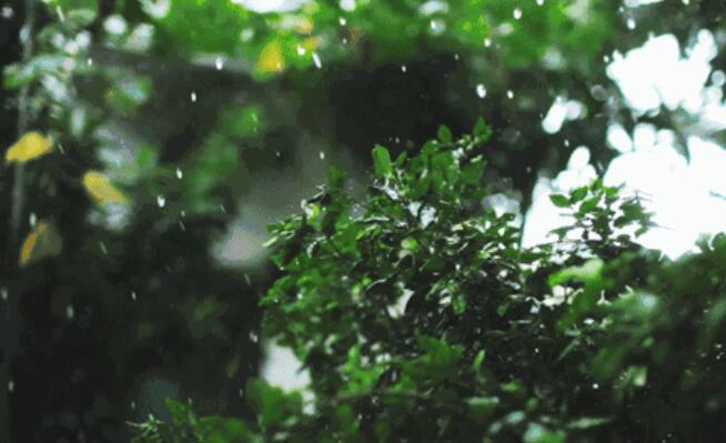 季节变幻的唯美句子文案