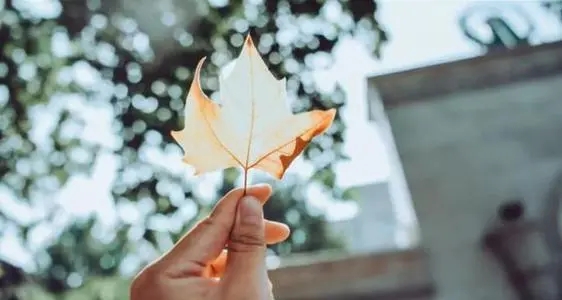 让对方看了难受的句子文案