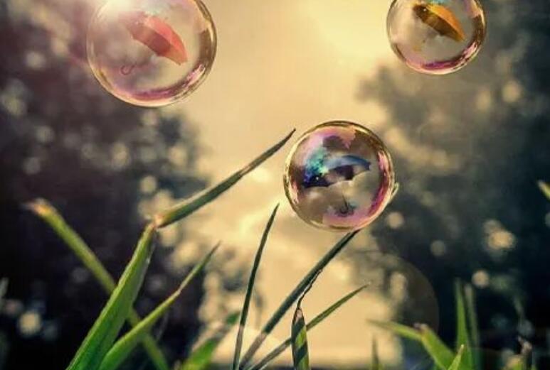 知乎上关于生活的句子文案