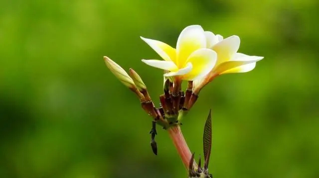 爱情的句子文案伤感短句