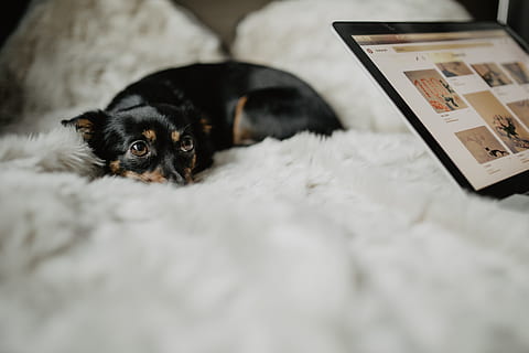 形容爱一个女孩的句子文案