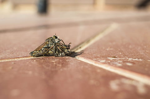 偷偷的句子文案