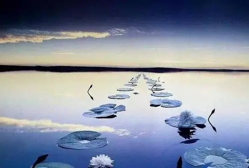 平静面对生活经典语录文案