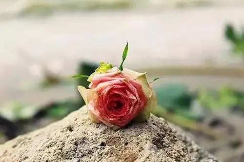 你不发声那句名言