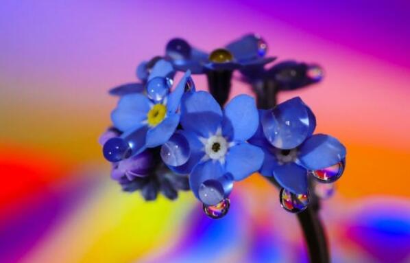 伤感的话语关于爱情