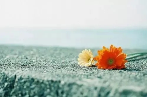 打动人心的经典语录文案