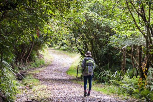 15个字左右描写景物的好句子文案