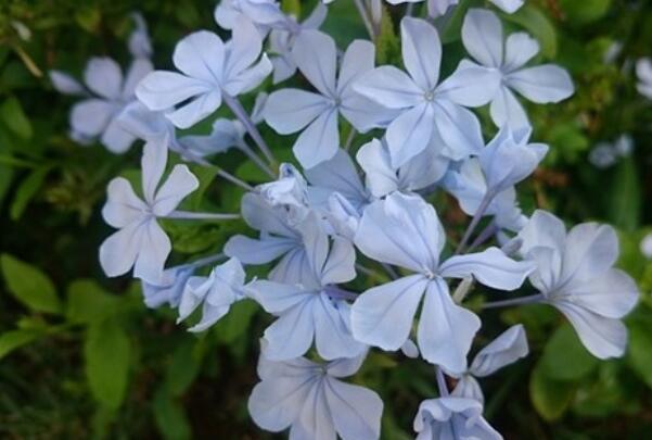 激励自己的名言警句