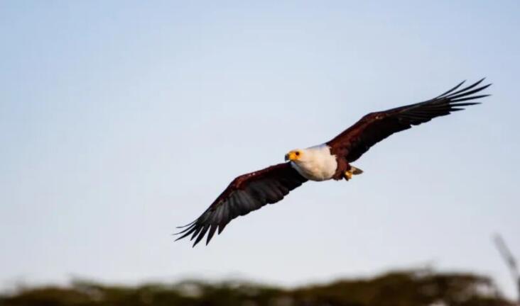 一首激励人心的诗