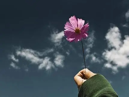 表示轻生不想活的诗句文案