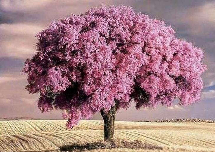 一句话正能量经典语录文案