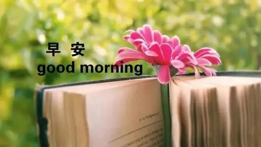 赞美清晨的句子文案唯美