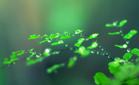 人间山河经典语录文案