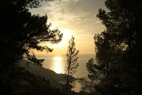 描述一段爱情结束的话