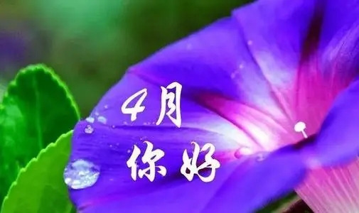 形容4月份的美好短句