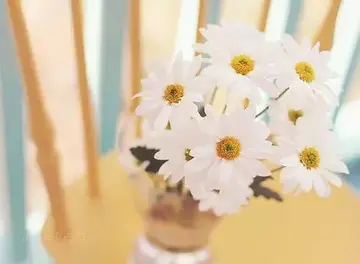 最好运的微信签名句子文案