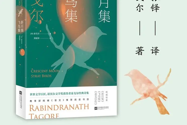 飞鸟集经典语录文案