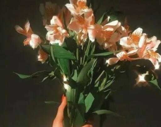 课外书的好句子文案