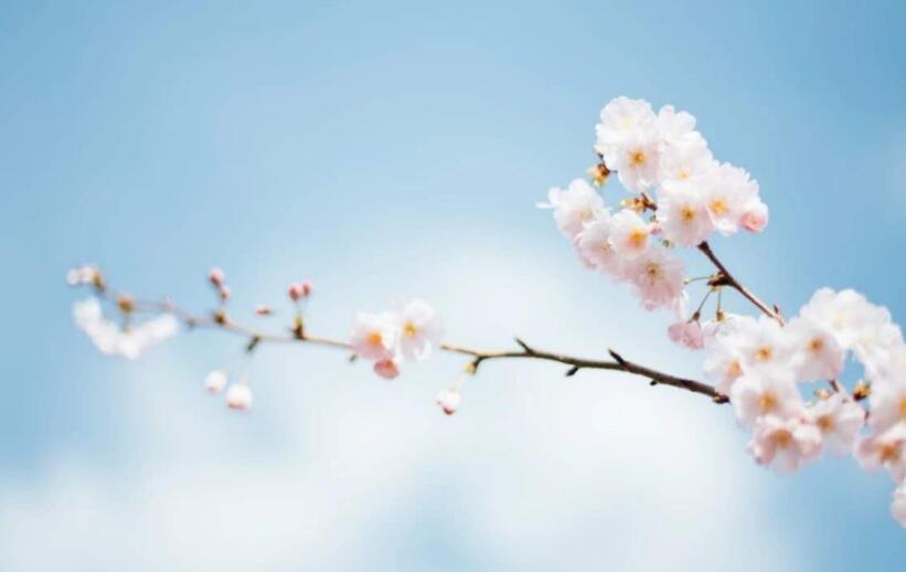 中华优秀经典诗词