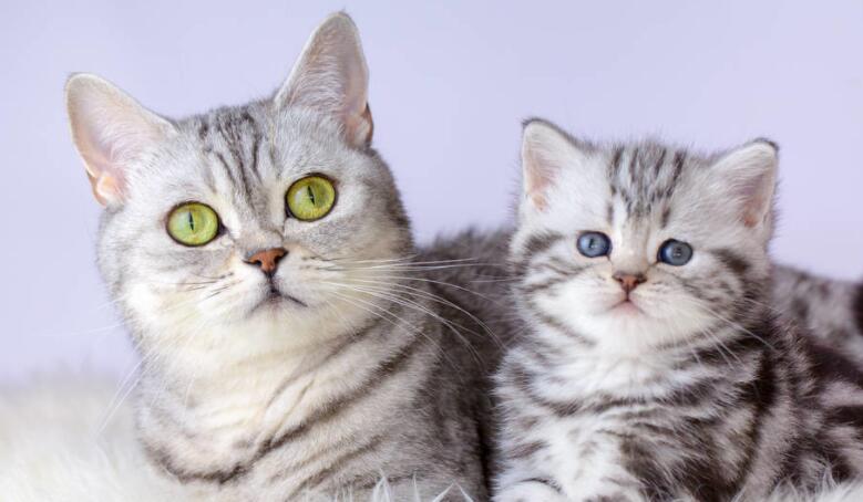 结束周末愉快的句子文案