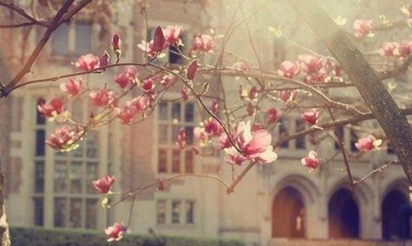 佛说幽默风趣句子文案