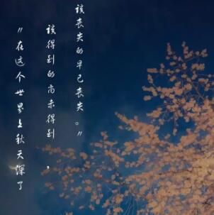 有诗意的句子文案