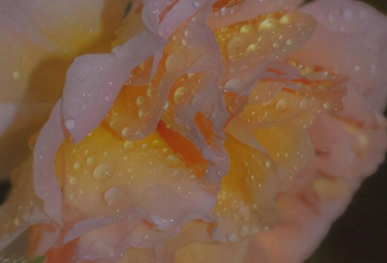 有关身材的文案