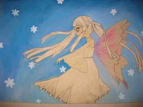 假如我有翅膀看图说话