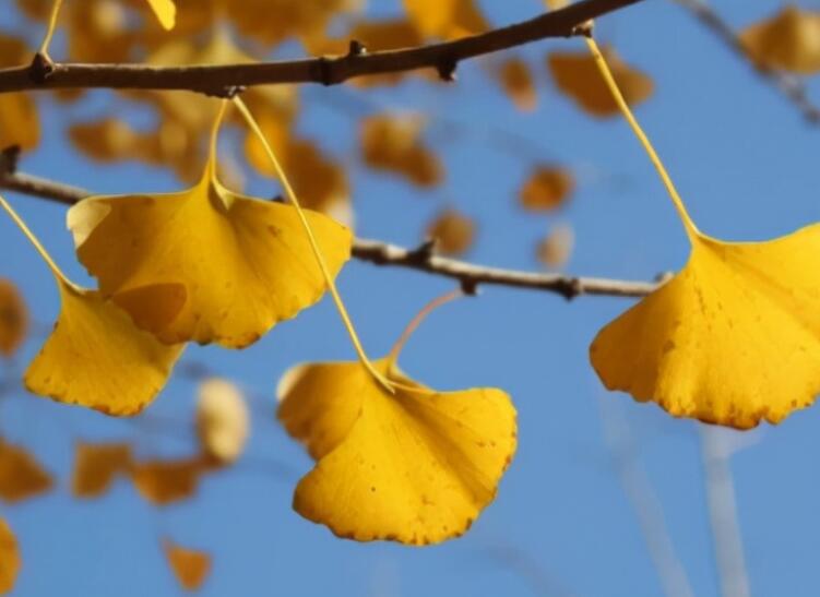 感慨时光不复返的句子文案