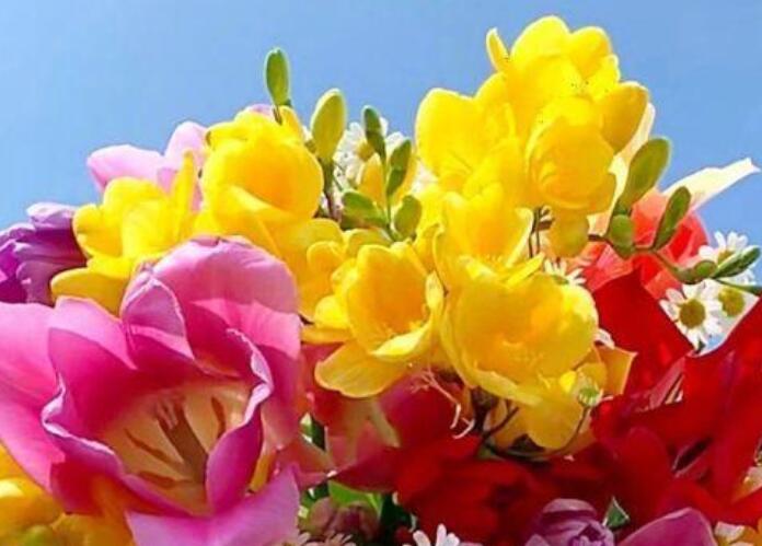 形容心定来的句子文案